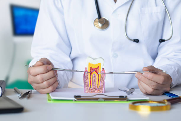 Best Dentist for Tooth Abscess  in Fairlawn, VA
